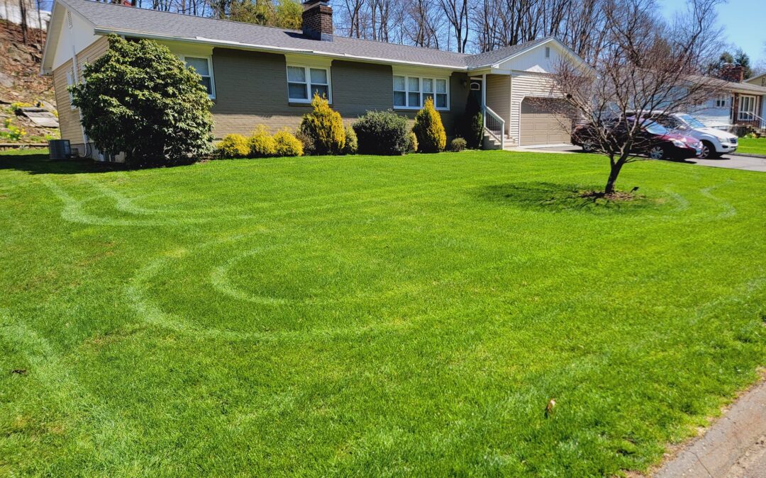 Lawn Services in Rosemount, MN